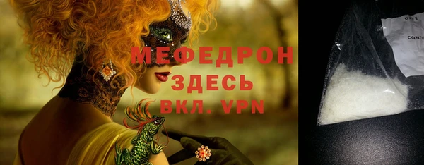 индика Ростов