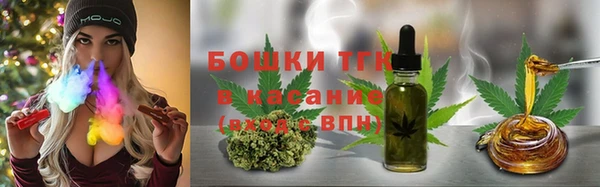 индика Абинск