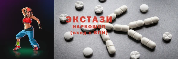 дмт Рославль