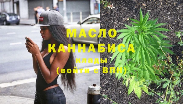 индика Абинск
