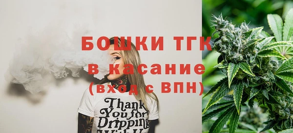 индика Абинск
