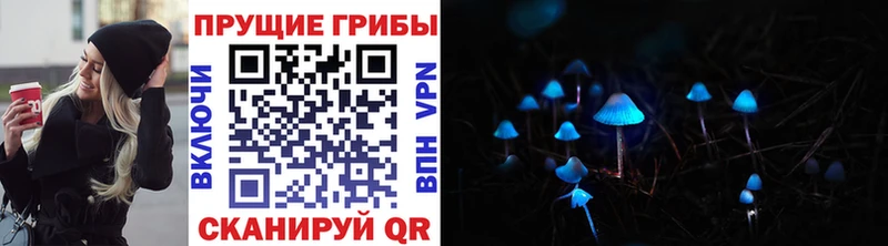 купить  цена  Ефремов  Псилоцибиновые грибы MAGIC MUSHROOMS 