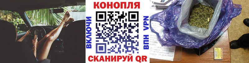 Конопля OG Kush  Ефремов 